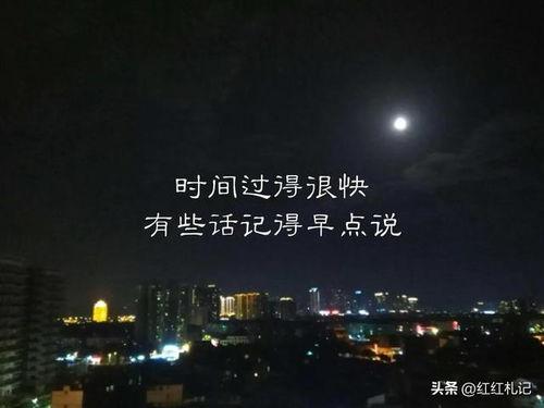 人间至爱是清欢演员表