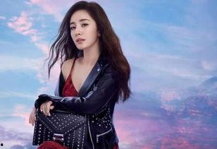 明星女学霸,揭秘明星女学霸的学霸之路