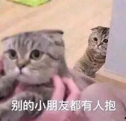 这么可爱表情包,揭秘那些让人心动的表情包魅力