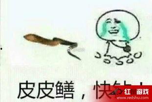 女主播皮皮鳝 下载,网络红人的崛起与影响力