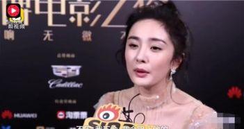 娱乐圈到底有多大,揭秘庞大而复杂的娱乐产业版图